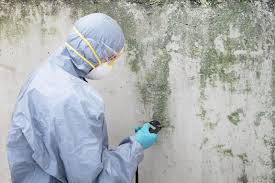 Mold Removal for HVAC Installations in Beavercreek, OH